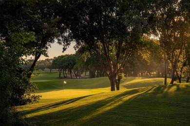 Set within the exclusive guard-gated Enclave at TPC Las Colinas - photo 7