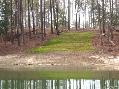 Discover 'The Pointe at Kerr Lake'. An exclusive pool community - photo 7