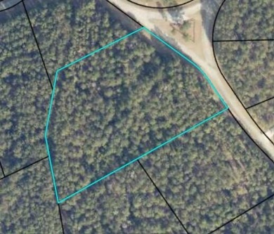 Lake Acreage For Sale in Lincolnton, Georgia