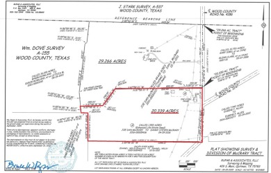 HOME ON 20+ ACRES WITH BARN & POLE BARN IN QUITMAN TX - photo 30