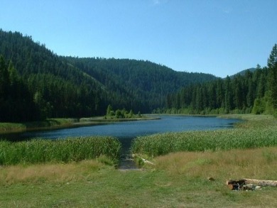 (private lake, pond, creek) Acreage For Sale in Northport Washington