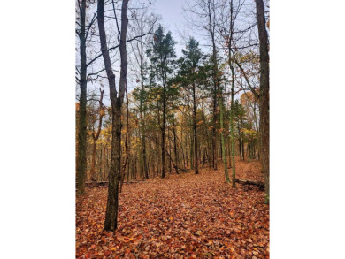  Acreage For Sale in Mount Olivet Kentucky