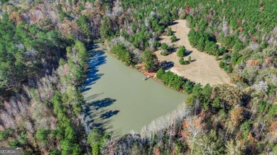 Lake Acreage For Sale in Covington, Georgia
