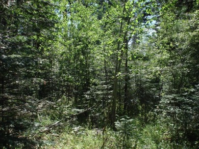 Payette Lake Lot For Sale in Mccall Idaho