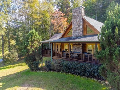 (private lake, pond, coastal) Home Sale Pending in Hayesville North Carolina