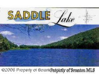 Lake Carey Lot For Sale in Tunkhannock Pennsylvania