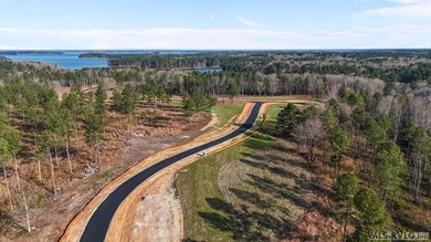 Discover 'The Pointe at Kerr Lake'. An exclusive pool community - photo 9