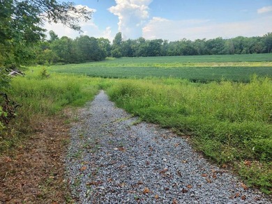 (private lake, pond, creek) Acreage For Sale in Hillsboro Kentucky