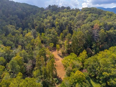 (private lake, pond, creek) Acreage For Sale in Franklin North Carolina