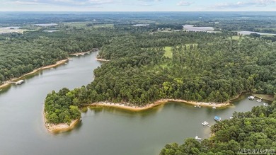 Discover 'The Pointe at Kerr Lake'. An exclusive pool community - photo 2