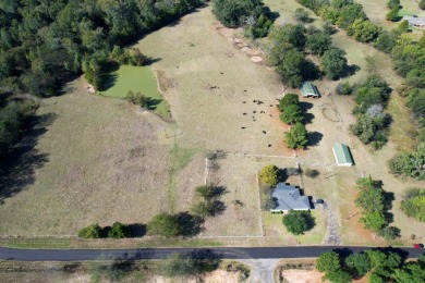 HOME ON 20+ ACRES WITH BARN & POLE BARN IN QUITMAN TX - photo 2