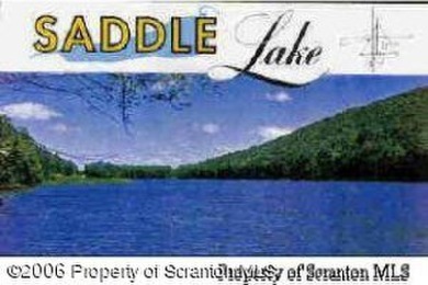 Saddle Lake Lot For Sale in Tunkhannock Pennsylvania