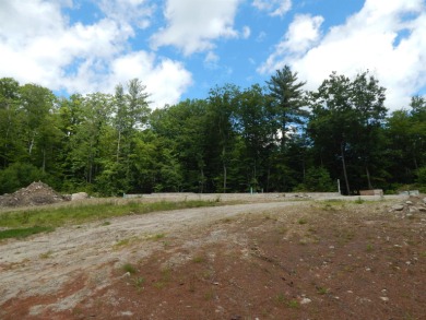 (private lake, pond, creek) Acreage For Sale in Newbury New Hampshire