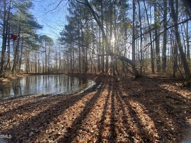 (private lake, pond, coastal) Acreage For Sale in Holly Springs North Carolina