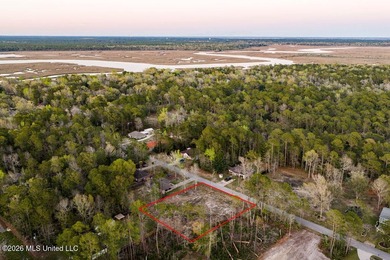 Build your dream home on this spacious 0.52-acre property on - photo 8