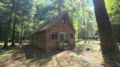 Lake Home Sale Pending in Branch, Michigan