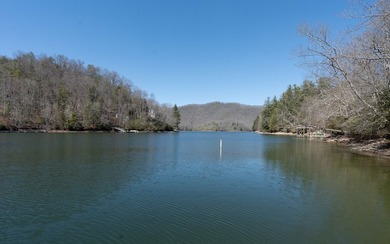 Rare Lakefront Opportunity ! Discover TWO lakefront homes on a - photo 24