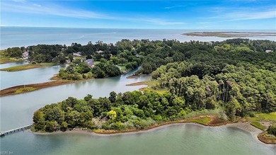 A truly once-in-a-lifetime offering in the heart of Poquoson - photo 1