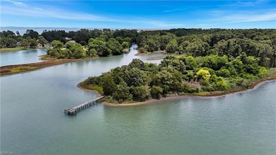 A truly once-in-a-lifetime offering in the heart of Poquoson - photo 9
