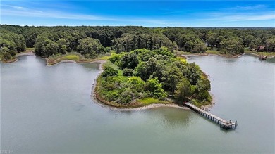 A truly once-in-a-lifetime offering in the heart of Poquoson - photo 10