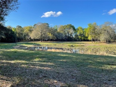 Lake Lot For Sale in Deland, Florida