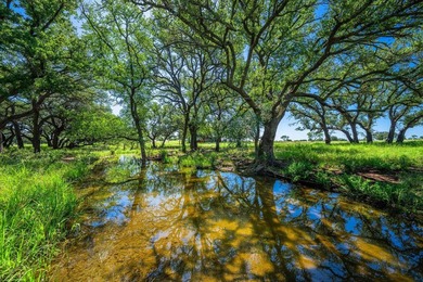 176 acres in Llano County, Texas In the heart of Llano County - photo 12
