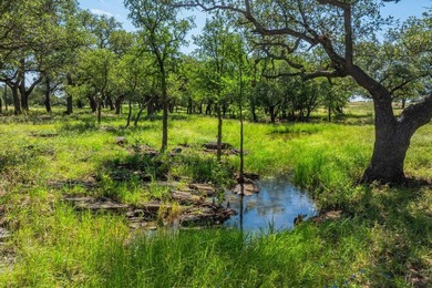 176 acres in Llano County, Texas In the heart of Llano County - photo 13