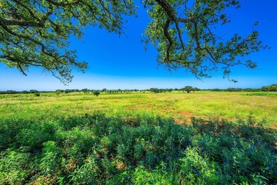 176 acres in Llano County, Texas In the heart of Llano County - photo 15