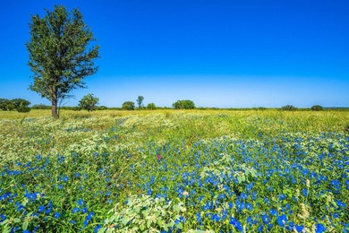 176 acres in Llano County, Texas In the heart of Llano County - photo 16