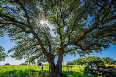 176 acres in Llano County, Texas In the heart of Llano County - photo 17