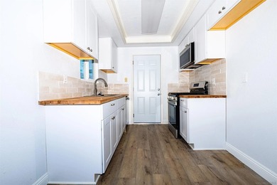 Light and bright, beautifully remodeled Lake Elsinore home - photo 17
