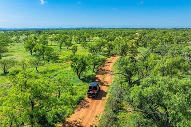 176 acres in Llano County, Texas In the heart of Llano County - photo 19