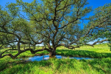 176 acres in Llano County, Texas In the heart of Llano County - photo 22