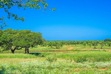 176 acres in Llano County, Texas In the heart of Llano County - photo 24