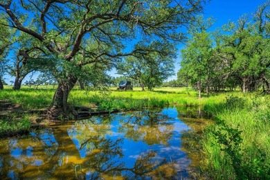 176 acres in Llano County, Texas In the heart of Llano County - photo 28