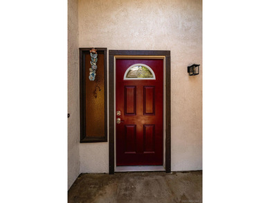 Light and bright, beautifully remodeled Lake Elsinore home - photo 28