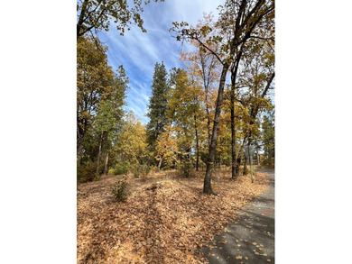 Bass Lake Lot For Sale in Bass Lake California