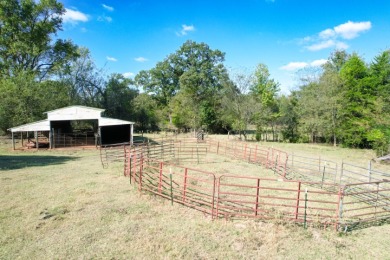 HOME ON 20+ ACRES WITH BARN & POLE BARN IN QUITMAN TX - photo 29