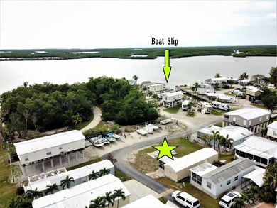 Vacant lot ready for your tiny home, park model or mobile home - photo 1