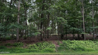 Lake Lot Sale Pending in Lakeville, Pennsylvania