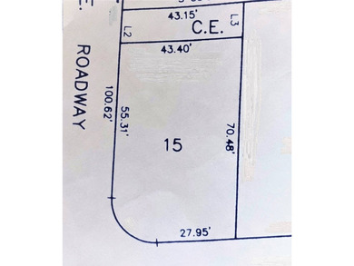 Vacant lot ready for your tiny home, park model or mobile home - photo 4