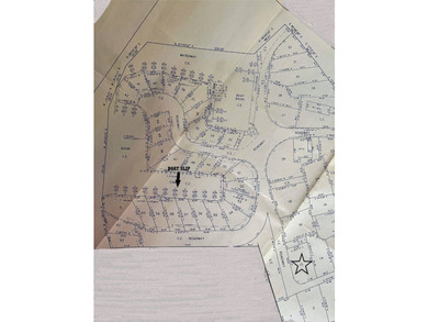 Vacant lot ready for your tiny home, park model or mobile home - photo 5