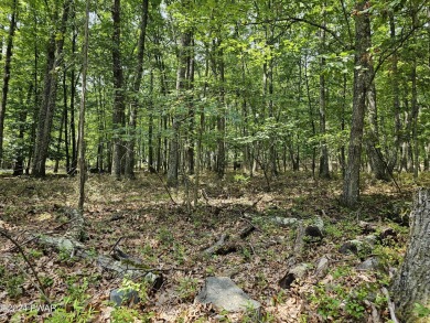 Lake Wallenpaupack Lot For Sale in Lakeville Pennsylvania