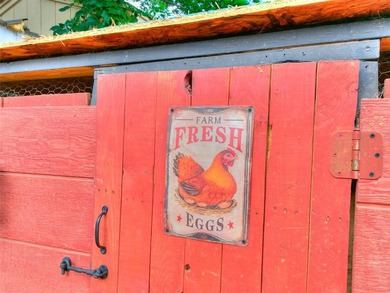 Newer HVAC and Water heater! Chickens allowed and Attwoods is 5 - photo 14