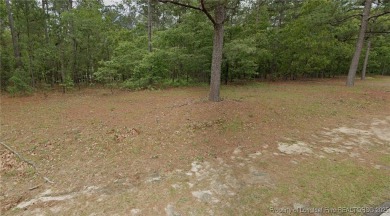 Lake Lot For Sale in Wagram, North Carolina