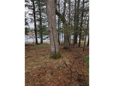 Lake Lot For Sale in Wautoma, Wisconsin