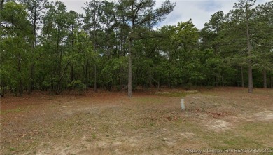 Lake Lot For Sale in Wagram, North Carolina