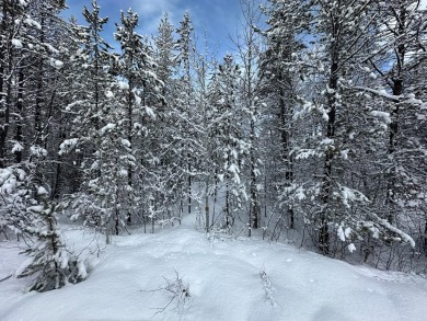 Lake Lot For Sale in Donnelly, Idaho