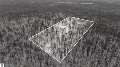 (private lake, pond, creek) Home For Sale in Reed City Michigan