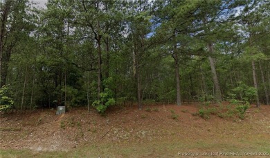 Lake Lot For Sale in Wagram, North Carolina